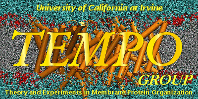 TEMPO: Theory and Experiments in Membrane Protein Organization