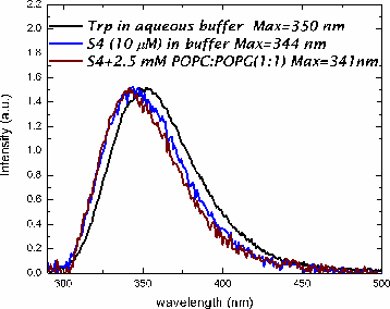 Fluorescence Graph 1