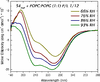 Oriented CD Graph 1