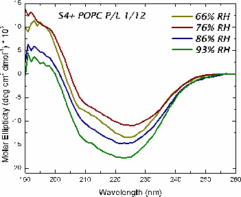 Oriented CD Graph 4