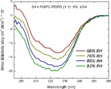 Oriented CD Graph 6